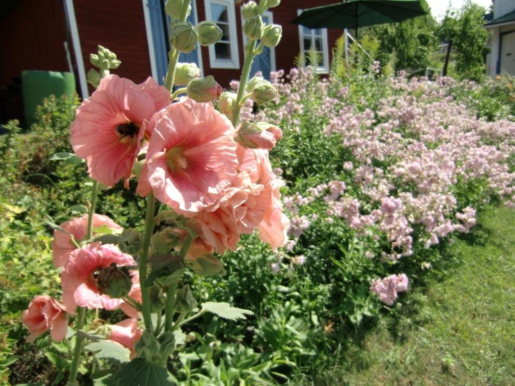 Vandrarhemmet Tallbacka/Aengelsberg Hostel Angelsberg Eksteriør bilde